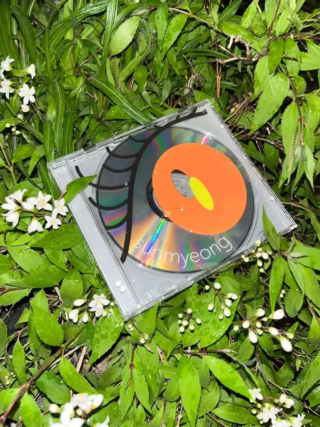 편안한 목소리로 퍼붓는 폭설, '선명' image3