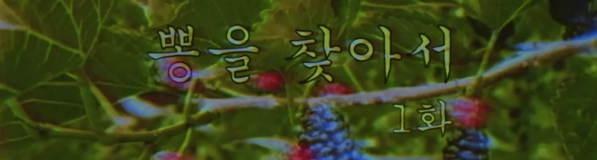 banner image of “뽕끼가 사라졌다!”