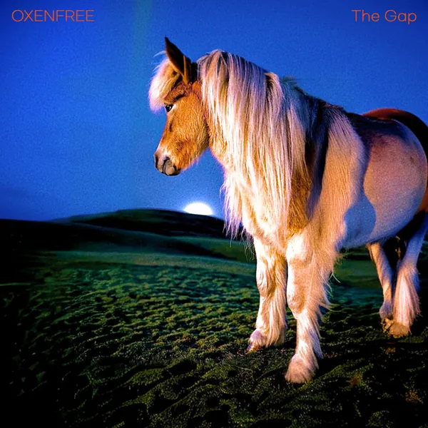 album cover art of The Gap by 옥센프리