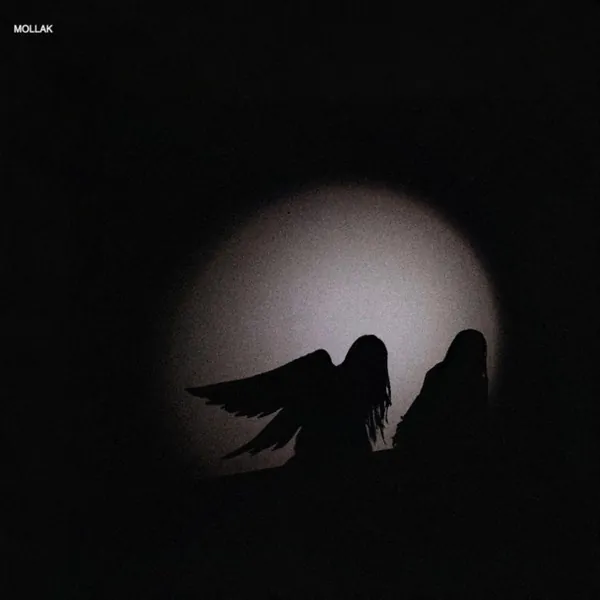 album cover art of MOLLAK by Jvcki Wai, vangdale