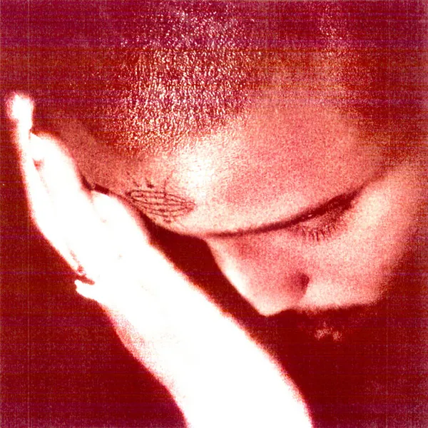 album cover art of The Passionate Ones by Nourished By Time